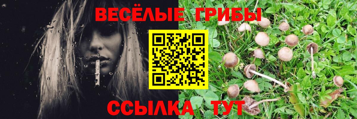 Рязань  Галлюциногенные грибы GOLDEN TEACHER  Вход с VPN  Галлюциногенные грибы Cubensis 